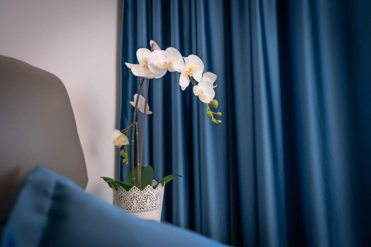 Apartmani Lara บาชกาโวดา ภายนอก รูปภาพ
